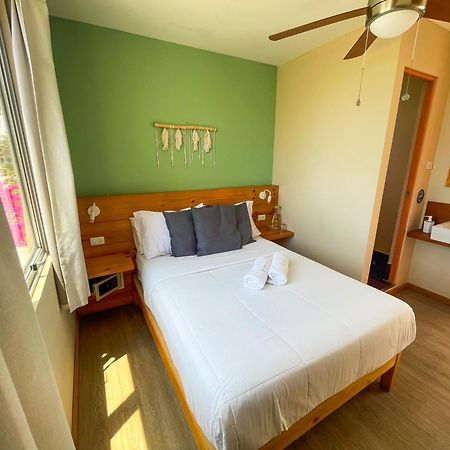 Viajero Paracas Hostel エクステリア 写真