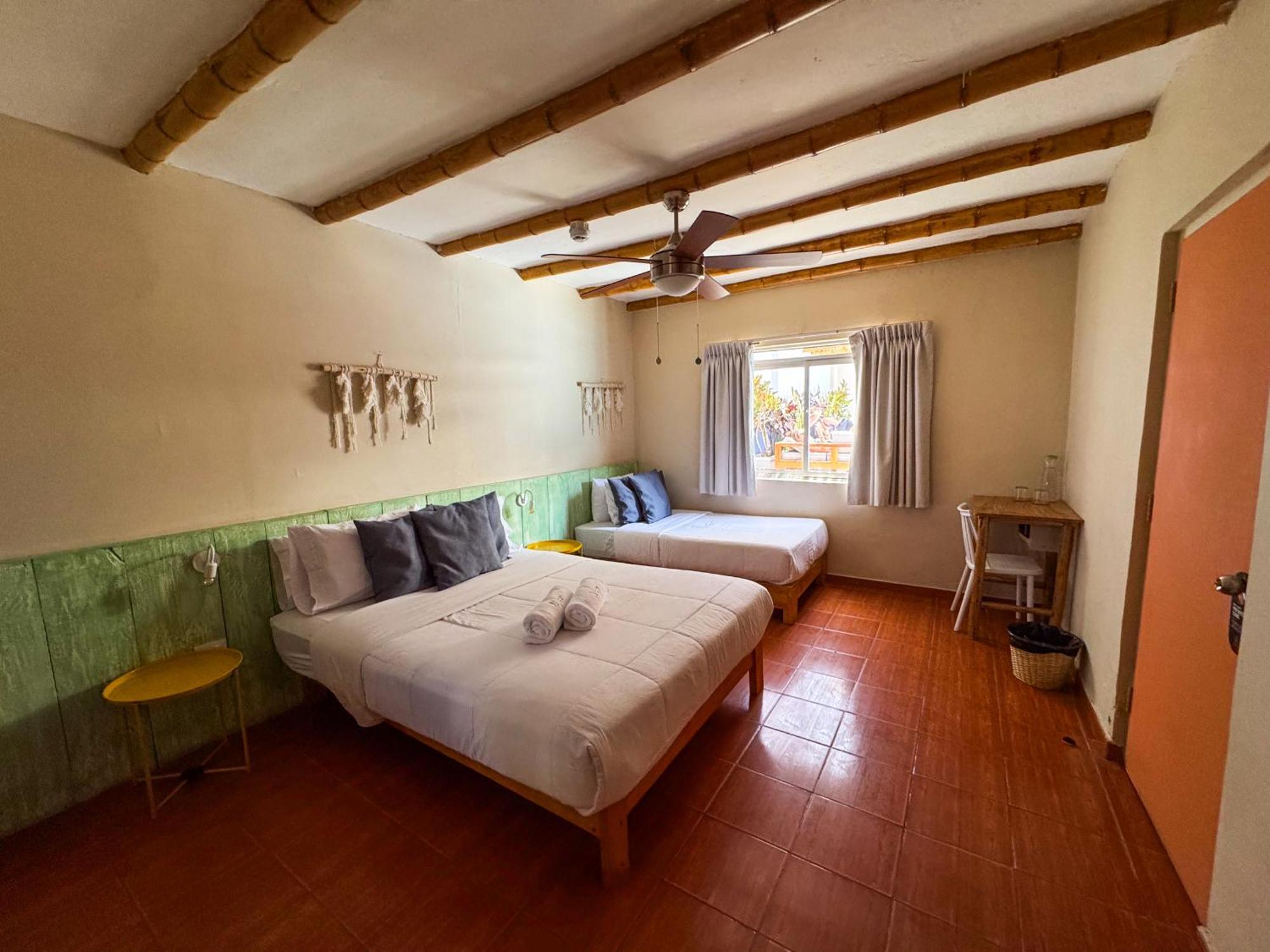 Viajero Paracas Hostel エクステリア 写真