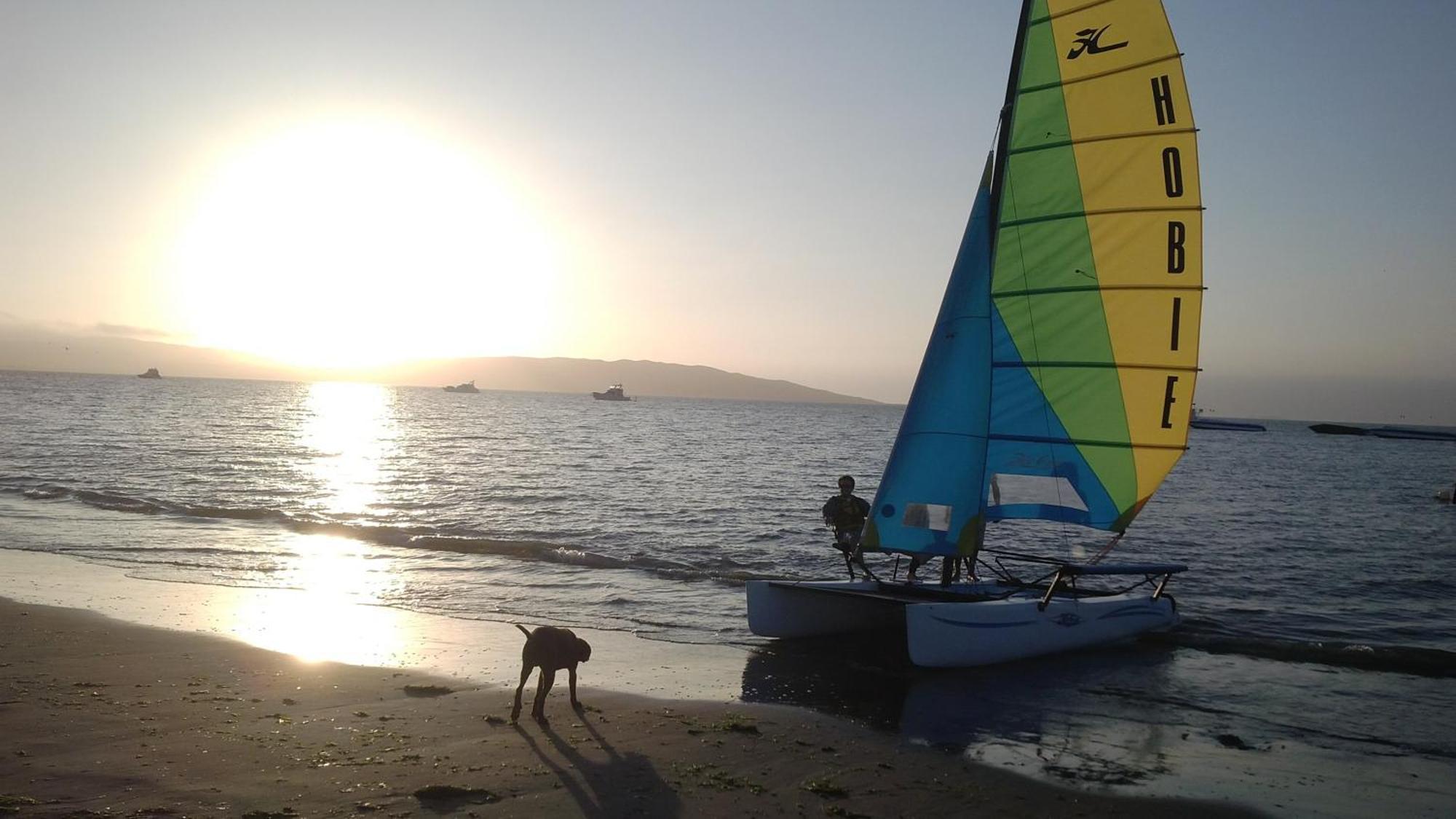 Viajero Paracas Hostel エクステリア 写真